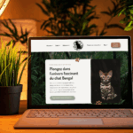 Site internet créé par agence web dans le Bas Rhin